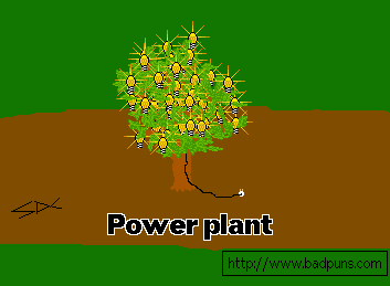 Power plant